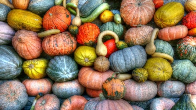 decorative Halloween gourds